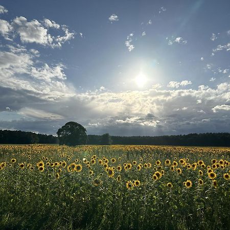 Urlaub Auf Dem Land Appartement Triepkendorf Buitenkant foto