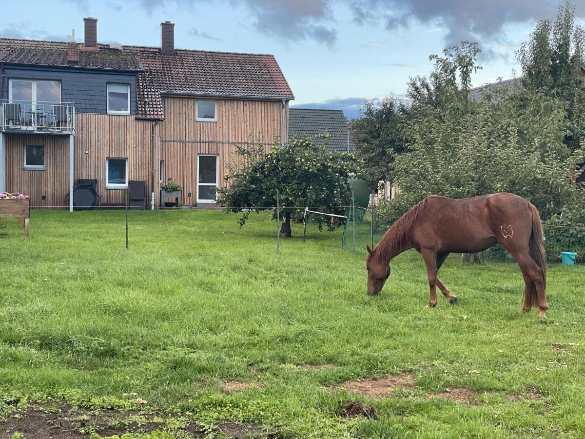 Urlaub Auf Dem Land Appartement Triepkendorf Buitenkant foto